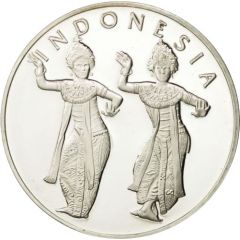 Medal - United Nations Indonesia