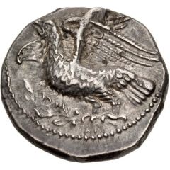 Stater