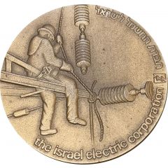 The Israel electric corporation