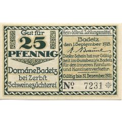 25 Pfennig