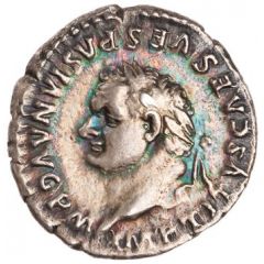 Denarius - Titus TR P IX IMP XV COS VIII P P