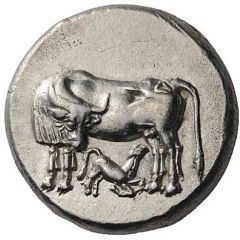 Stater