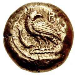 Stater