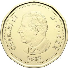 1 Dollar - Charles III Supreme Court of Canada; colourized