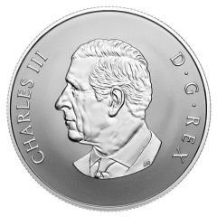 10 Dollars - Charles III Welcome to the World!