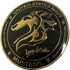 Challenge Coin - Navy Mustang LDO CWO Millington, Tennessee