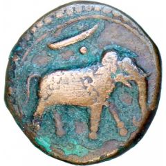 1 Paisa - Tipu Sultan Patan mint