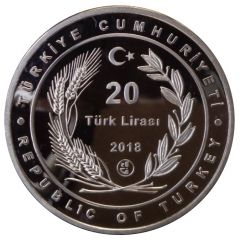 20 Lira Zagan Pasha Mosque