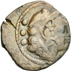 Quadrans Butterfly, Butterfly and Vine-Branch, ROMA