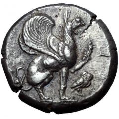 Stater