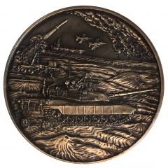 Medal - Persian Gulf Veterans