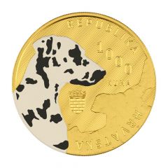 1000 Kuna Dalmatian Dog