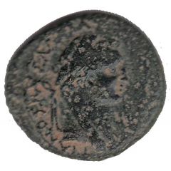 Æ - Domitianus Neapolis