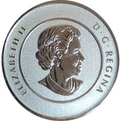 20 Dollars - Elizabeth II Hockey