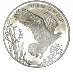 Medal - National Wildlife Refuge System Bald Eagle