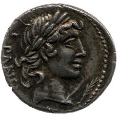 Denarius Vibia: Gaius Vibius Pansa, PANSA / C•VIBIVS•C•F