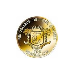 100 Francs CFA Scarab