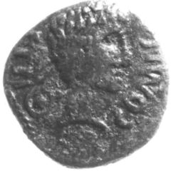Bronze Unit - Eppillus Harlow Pegasus