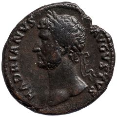 Dupondius or As - Hadrian TRANQVILLITAS AVG COS III P P S C, Tranquillitas