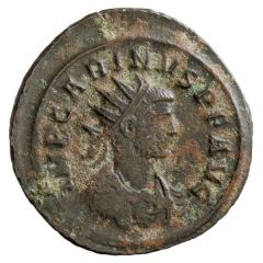 Antoninianus - Carinus VIRTVTI AVGG, Hercules