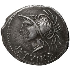 Denarius Marsic Confederation