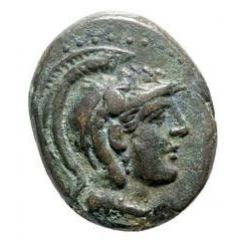 Æ19 Bull