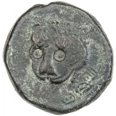Trifollaro - Guglielmo II