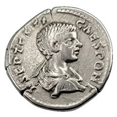Denarius - Geta MINERV SANCT, Minerva