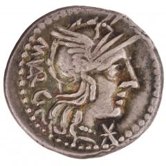 Denarius Vargunteia: Marcus Vargunteius, M•VARG