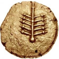 Stater `Dobunnic F` - Eisu