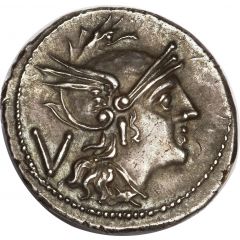 Quinarius Anonymous, ROMA