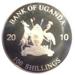 100 Shillings Great white shark