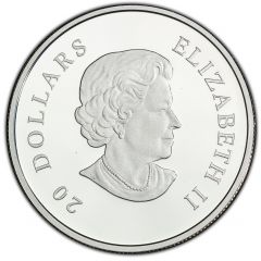 20 Dollars - Elizabeth II Winter Snowflake