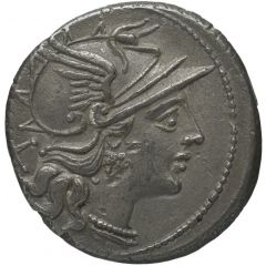 Denarius Pinarius Natta, ROMA NATT͡A