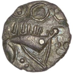 Silver Unit Norfolk Boar Star