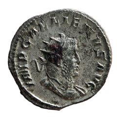 Antoninianus - Gallienus SALVS ITAL, Salus
