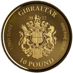 10 Pounds War Elephant