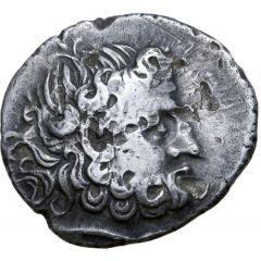 Tetradrachm Zweigarm Type